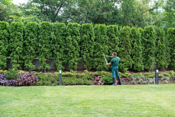 Best Commercial Tree Services  in Centralia, WA